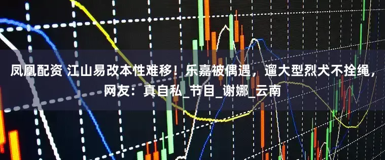 凤凰配资 江山易改本性难移！乐嘉被偶遇，遛大型烈犬不拴绳，网友：真自私_节目_谢娜_云南