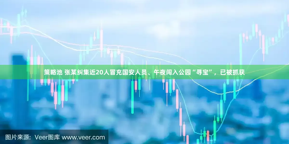 策略池 张某纠集近20人冒充国安人员、午夜闯入公园“寻宝”，已被抓获